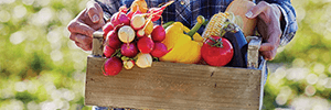 Food Residues & Contaminants Testing