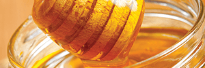 Honey Analysis, Authenticity, NMR