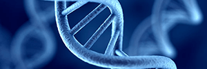 Meat Species Testing